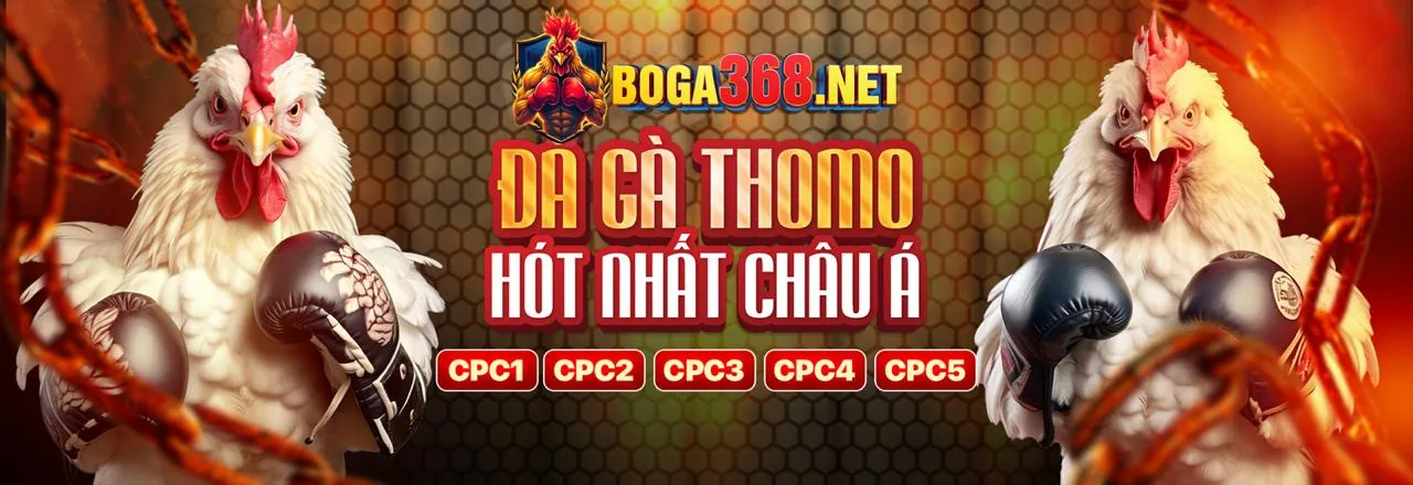 Hình ảnh tài liệu pháp lý Điều Khoản Dịch Vụ